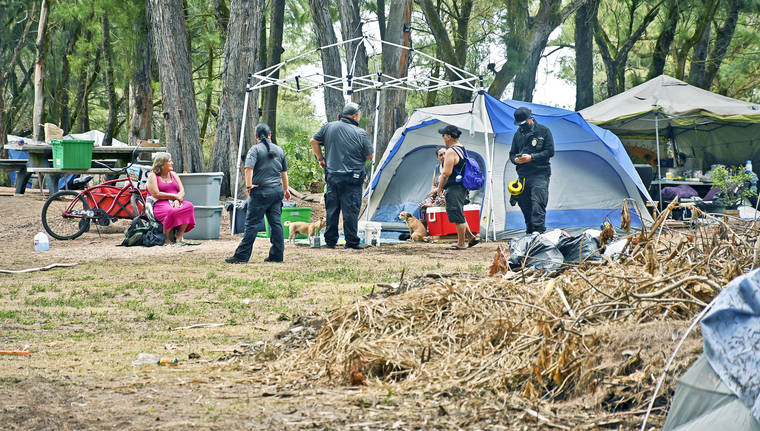 Lydgate Camp Sites