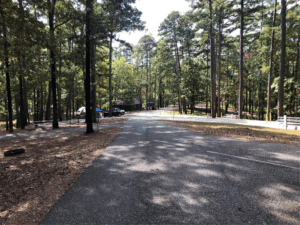 Best Guide To Lake Degray Camping Sites